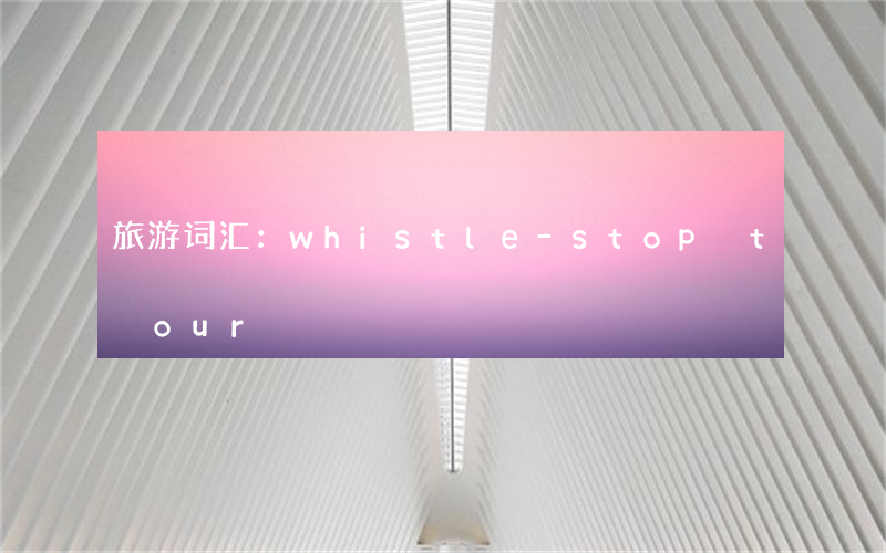 旅游词汇：whistle-stop tour